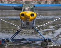 TSR Watermark - 0234